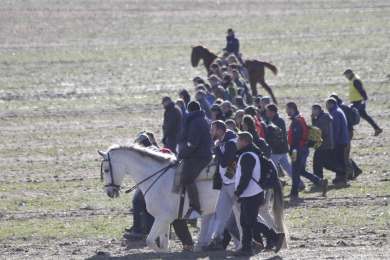 Ambiente en la carrera de galgos de este sábado en Madrigal de las Altas Torres, durante los cuartos de final del Campeonato Nacional