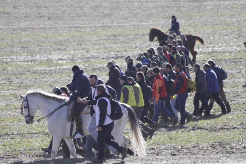 Ambiente en la carrera de galgos de este sábado en Madrigal de las Altas Torres, durante los cuartos de final del Campeonato Nacional