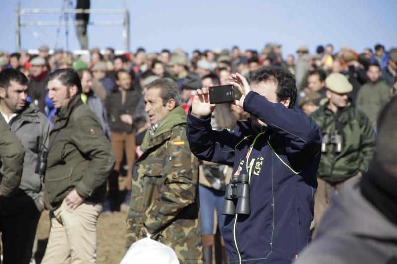 Ambiente en la carrera de galgos de este sábado en Madrigal de las Altas Torres, durante los cuartos de final del Campeonato Nacional