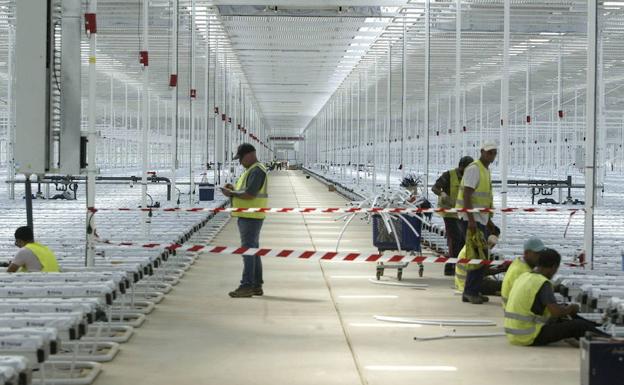 Trabajadores en una empresa de Castilla y León