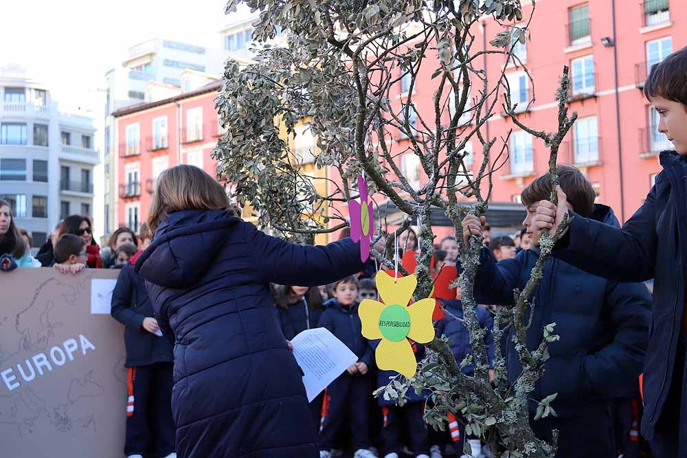 Alumnos y profesores del colegio han hecho una representación en la Plaza Mayor de Burgos