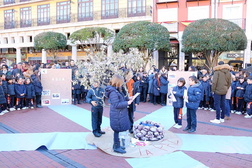 Alumnos y profesores del colegio han hecho una representación en la Plaza Mayor de Burgos