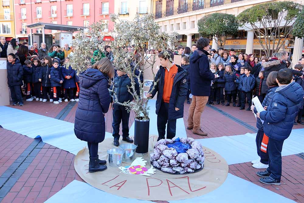 Alumnos y profesores del colegio han hecho una representación en la Plaza Mayor de Burgos