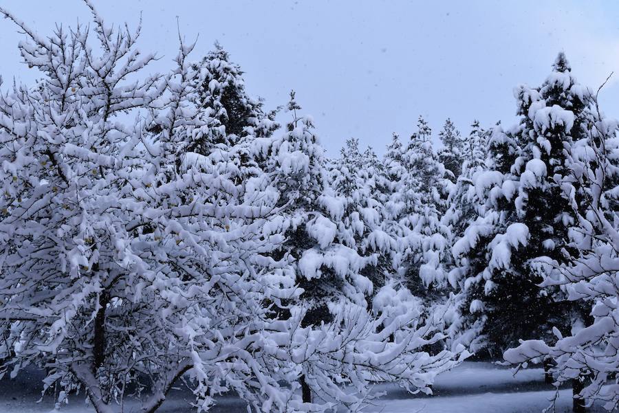 La madrugada del 1 al 2 de febrero de 2018 ha dejado estas imágenes en Aguilar de Campoo.