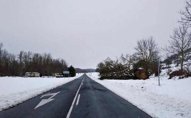 La nieve ha sido la protagonista durante las últimas jornadas en Burgos
