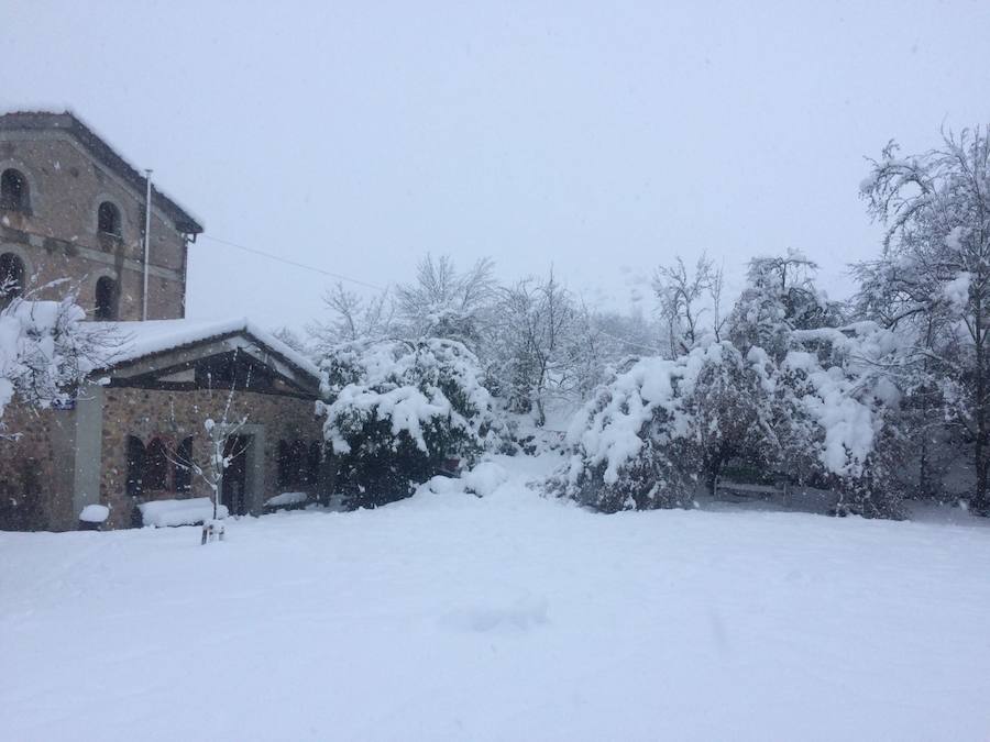 Aquí tienen una selección de fotografías de nieve enviadas por algunos de nuestros lectores. Se pueden ver imágenes de Tubilla del Agua, Ura, Belorado, Fuentelcésped, Quintanar de la Sierra o Sargentes de la Lora