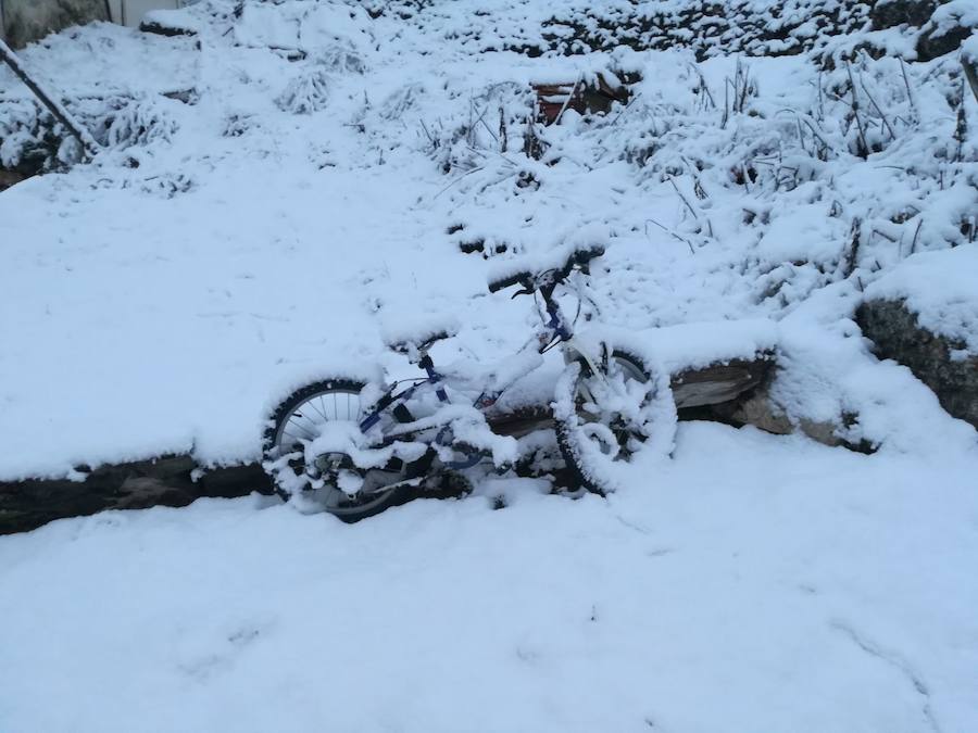 Aquí tienen una selección de fotografías de nieve enviadas por algunos de nuestros lectores. Se pueden ver imágenes de Tubilla del Agua, Ura, Belorado, Fuentelcésped, Quintanar de la Sierra o Sargentes de la Lora