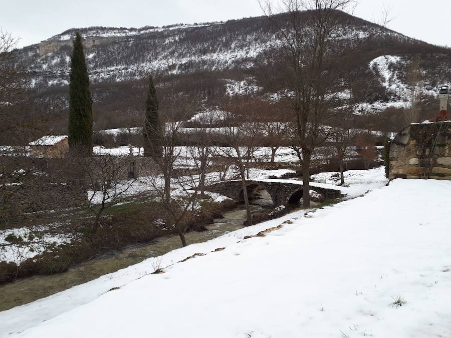 Aquí tienen una selección de fotografías de nieve enviadas por algunos de nuestros lectores. Se pueden ver imágenes de Tubilla del Agua, Ura, Belorado, Fuentelcésped, Quintanar de la Sierra o Sargentes de la Lora