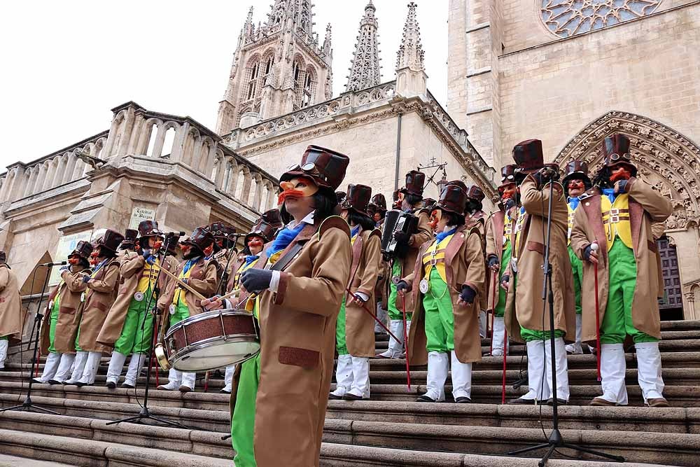 Actuación de la chirigota en imágenes