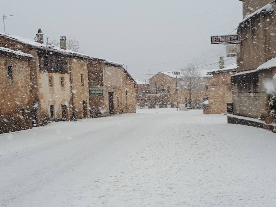 Aquí os dejamos unas imágenes sobre el paso del temporal de nieve por la provincia de Burgos