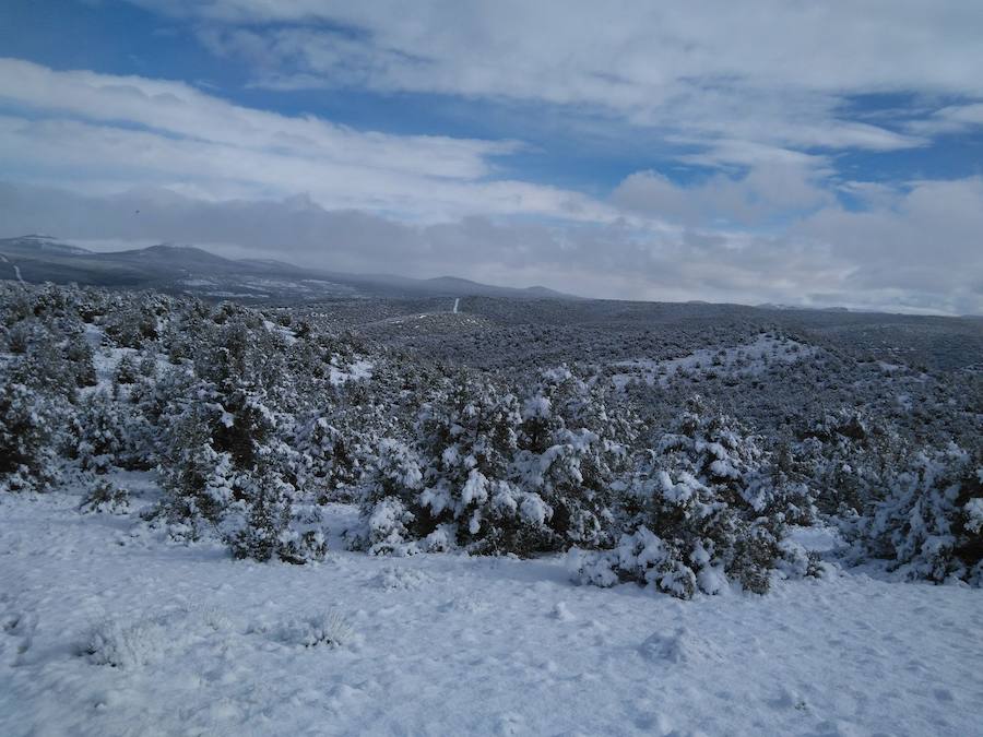 Aquí os dejamos unas imágenes sobre el paso del temporal de nieve por la provincia de Burgos