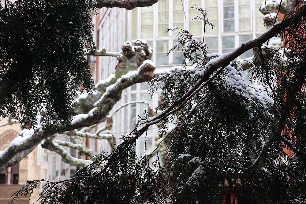 Aquí os dejamos unas imágenes sobre el paso del temporal de nieve por la provincia de Burgos