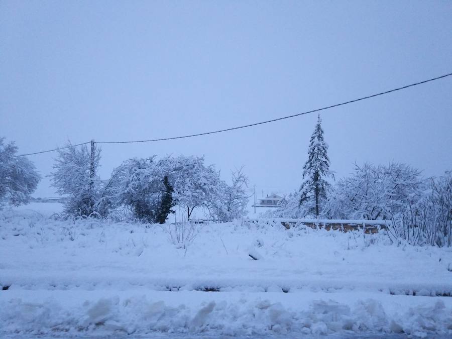 Aquí os dejamos unas imágenes sobre el paso del temporal de nieve por la provincia de Burgos