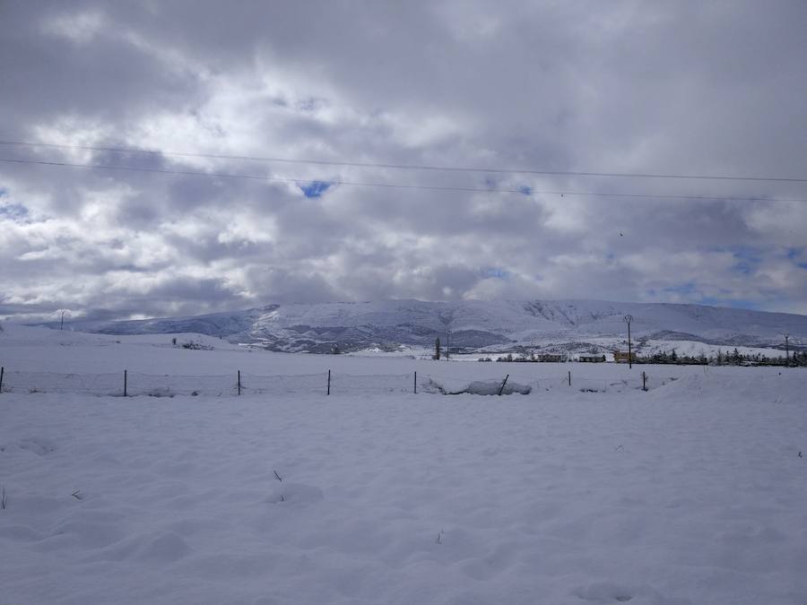 Aquí os dejamos unas imágenes sobre el paso del temporal de nieve por la provincia de Burgos