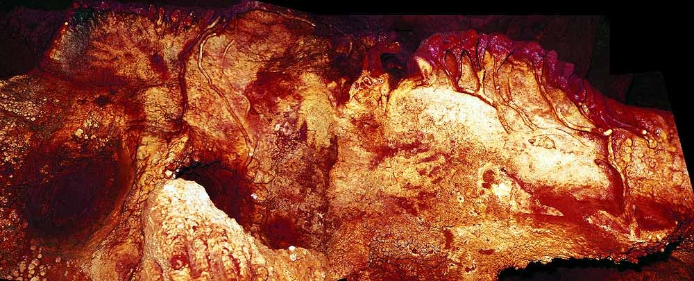 Fotos: Descubren arte de 65.000 años de antigüedad realizado por neandertales