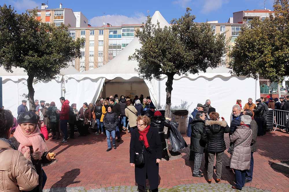 Fotos: La fiesta de la cecina en imágenes