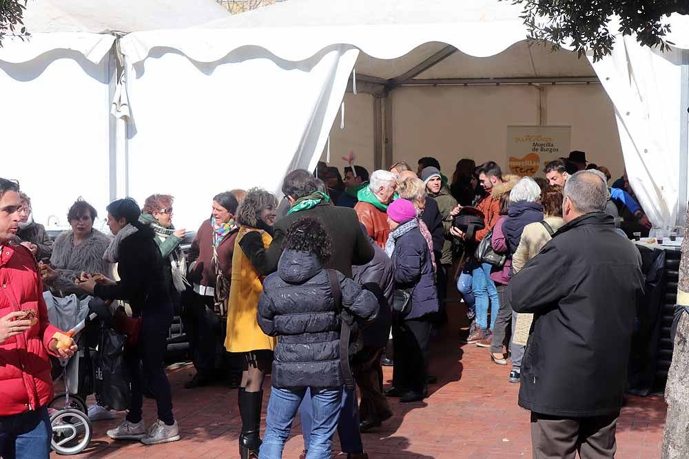 Fotos: La fiesta de la cecina en imágenes