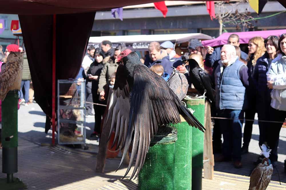 Fotos: Vuelta al pasado con el Mercado Medieval de Gamonal