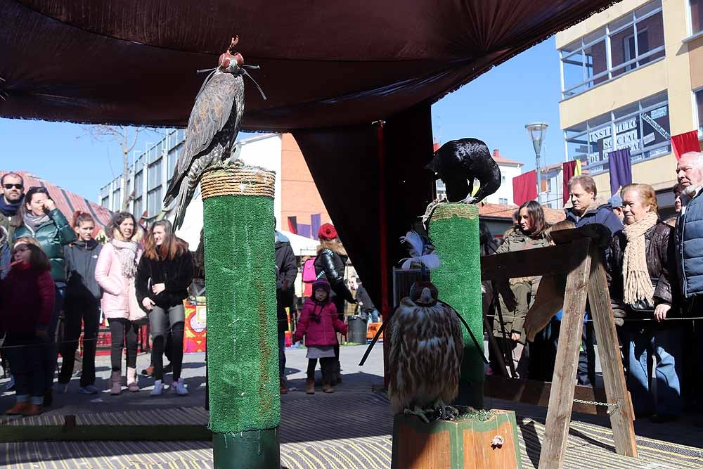 Fotos: Vuelta al pasado con el Mercado Medieval de Gamonal