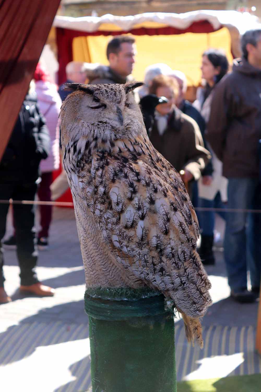 Fotos: Vuelta al pasado con el Mercado Medieval de Gamonal