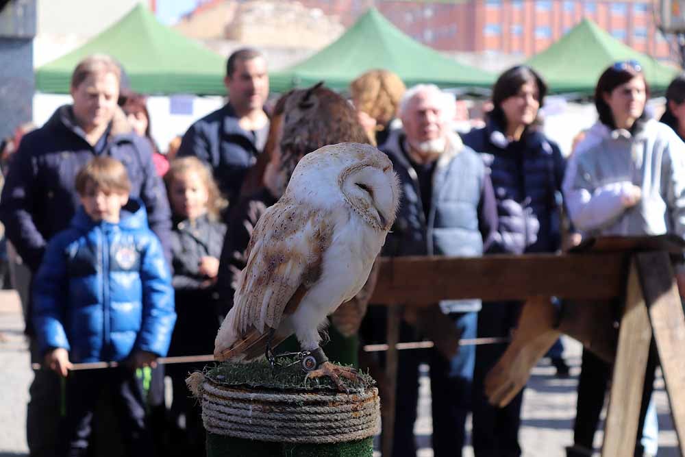 Fotos: Vuelta al pasado con el Mercado Medieval de Gamonal