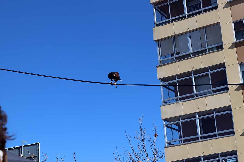 Fotos: Vuelta al pasado con el Mercado Medieval de Gamonal
