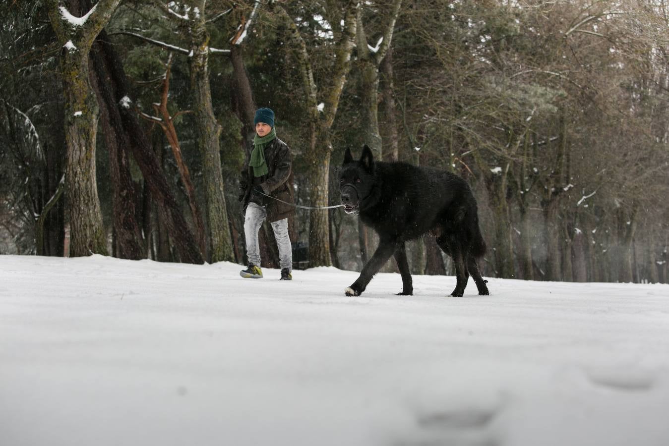 Nieve en la capital soriana.