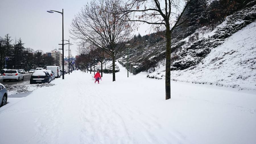 Las prediciciones se han cumplido y la provincia y la capital han amanecido cubiertas de un manto blanco, generandpo numerosas complicaciones en calles y carreteras.