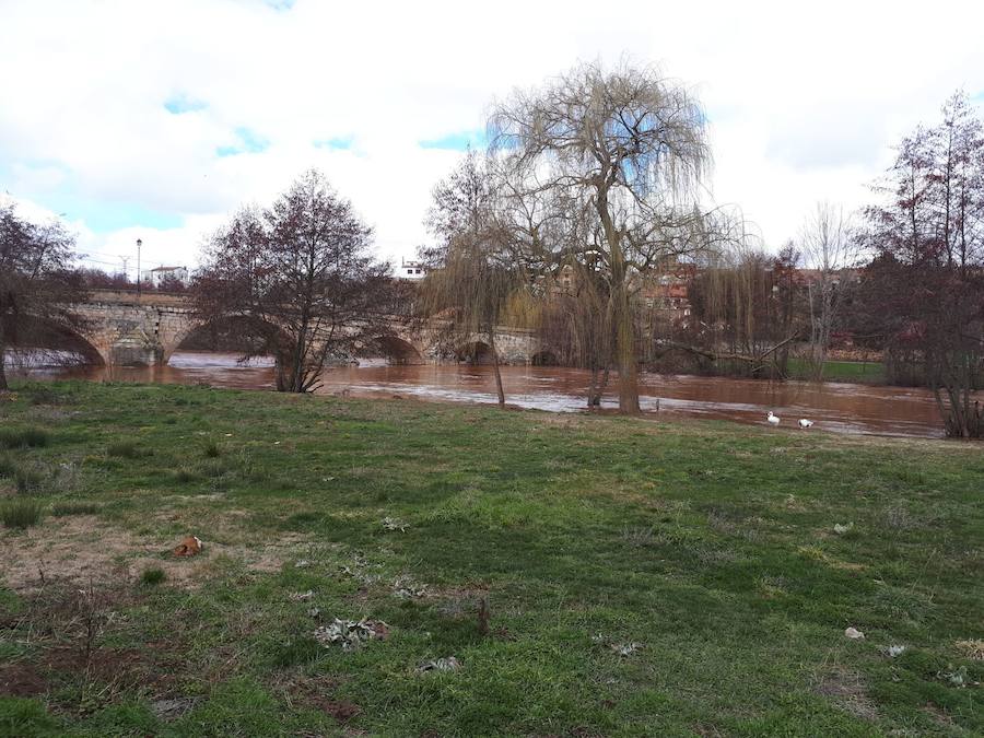 Las lluvias y el deshielo han hecho que el caudal del Arlanza crezca de manera considerable. Los vecinos lo miran con recelo ante las previsiones de más lluvia para la próxima semana
