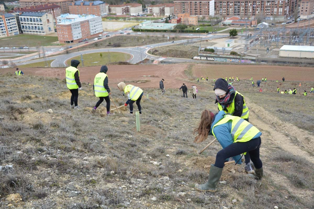 Alrededor de 200 personas se juntan en la Barriada Yagüe para repoblar la masa forestal del Monte de la Salud y el Cerro del Rey.