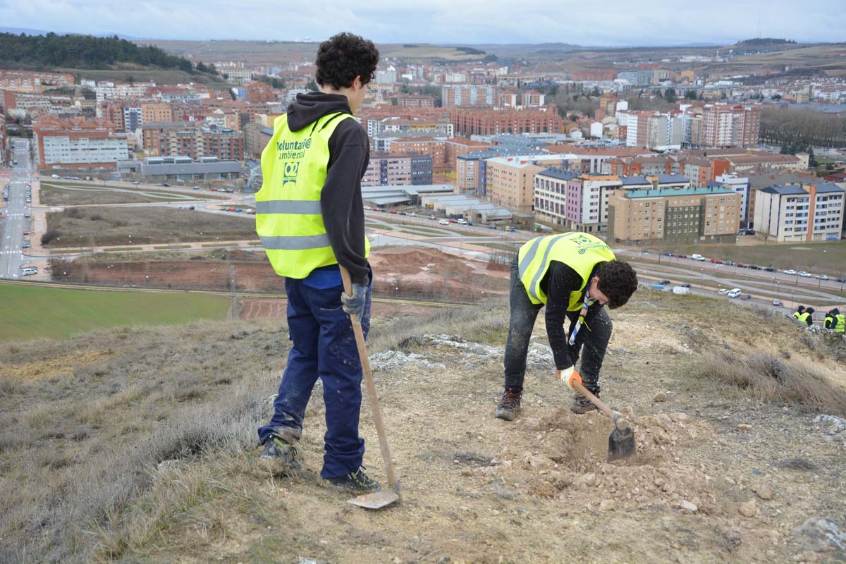 Alrededor de 200 personas se juntan en la Barriada Yagüe para repoblar la masa forestal del Monte de la Salud y el Cerro del Rey.