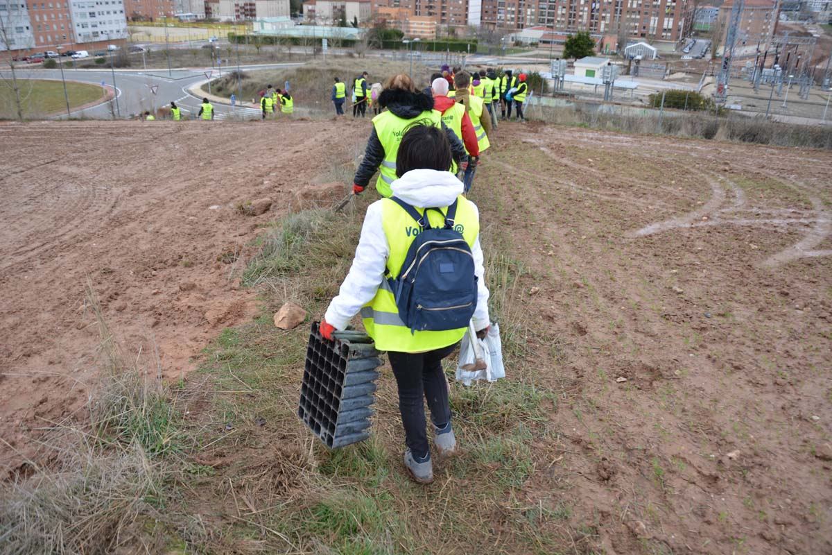 Alrededor de 200 personas se juntan en la Barriada Yagüe para repoblar la masa forestal del Monte de la Salud y el Cerro del Rey.