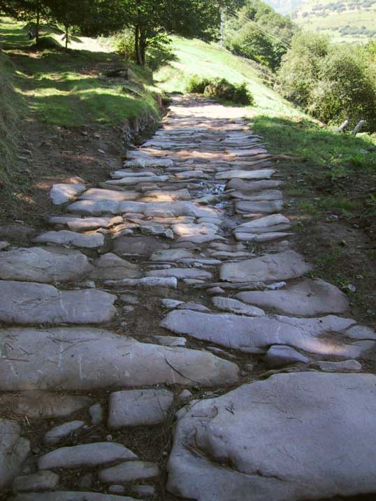 Calzada romana Vía de la Plata (Salamanca). La Vía de la Plata es una antigua vía de comunicación romana que atraviesa de sur a norte parte del oeste de España, desde Mérida hasta Astorga.
