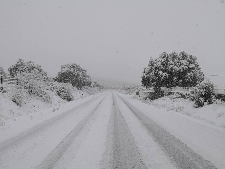 La nieve ha sorprendido de madrugada en la provincia de Salamanca, donde hay dificultades de tráfico por el elemento blanco que cubre las carreteras.