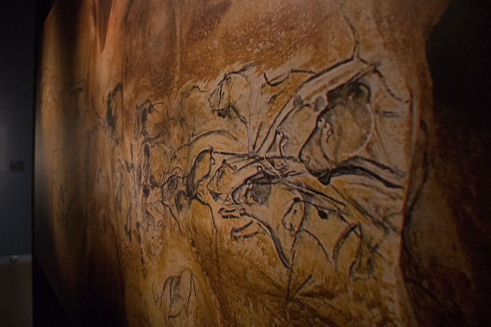 El MEH acoge hasta noviembre una muestra con el esqueleto completo de un león de las cavernas, una pieza única. La exposición se completa con fósiles de otros carnívoros