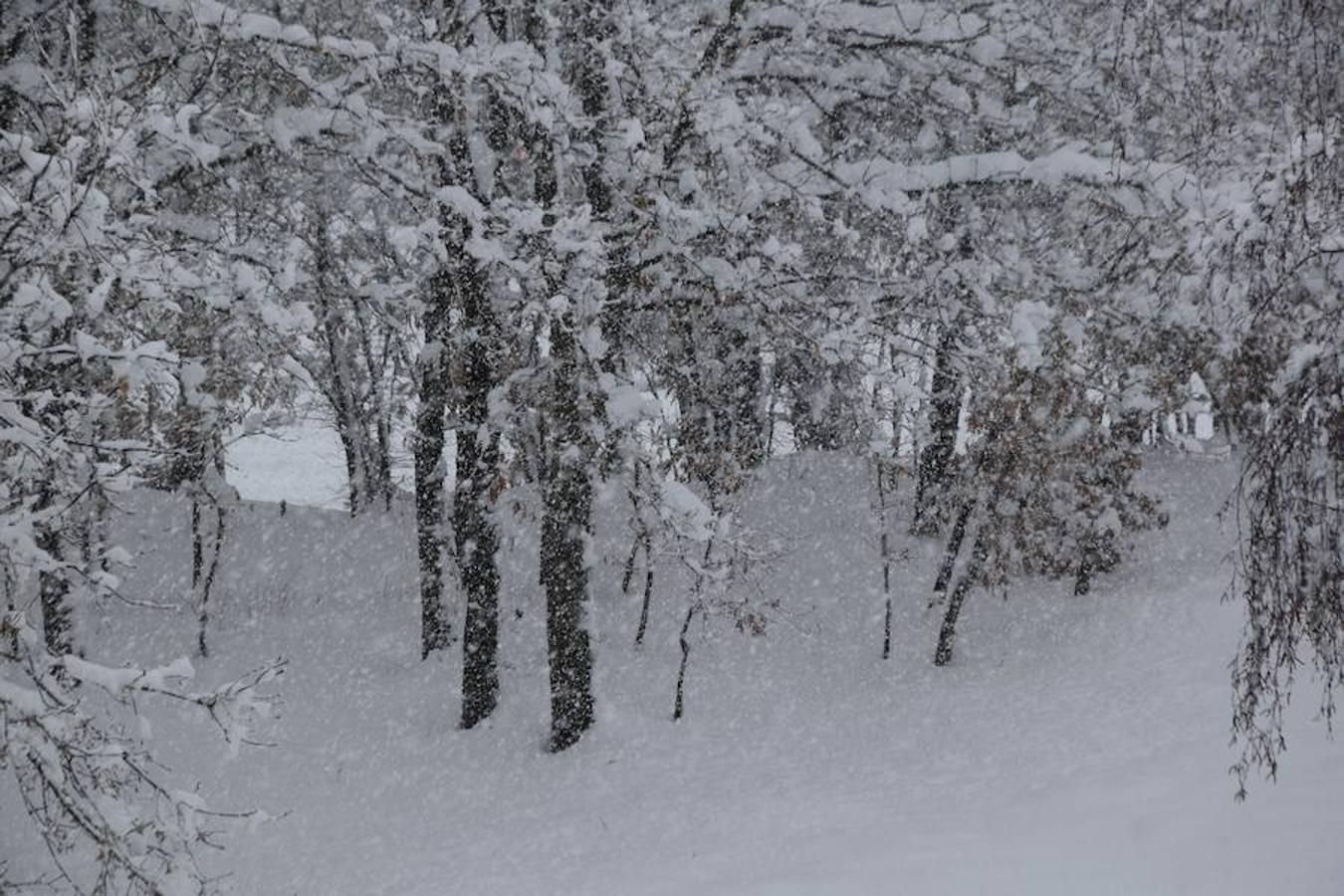 Fotos: Guardo recibe la primavera con medio metro de nieve