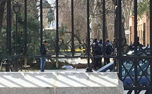 El árbol caído en la puerta del Retiro de Madrid.