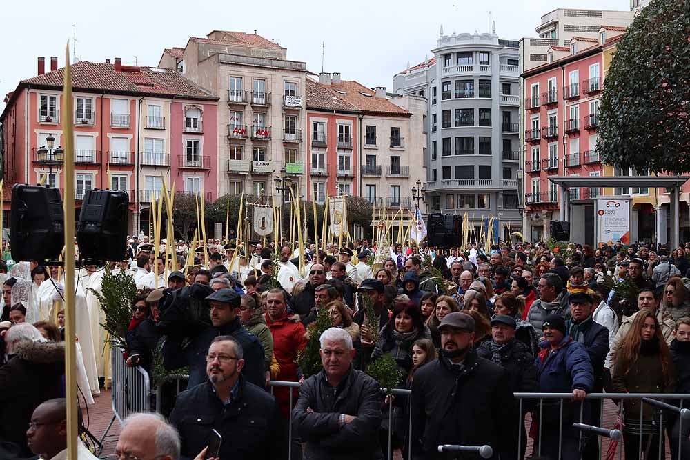 Fotos: Las imágenes de la Procesión de Jesús en La Borriquilla