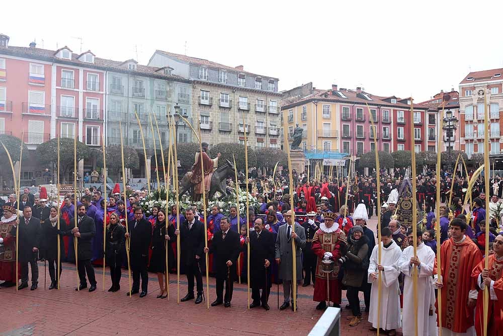Fotos: Las imágenes de la Procesión de Jesús en La Borriquilla