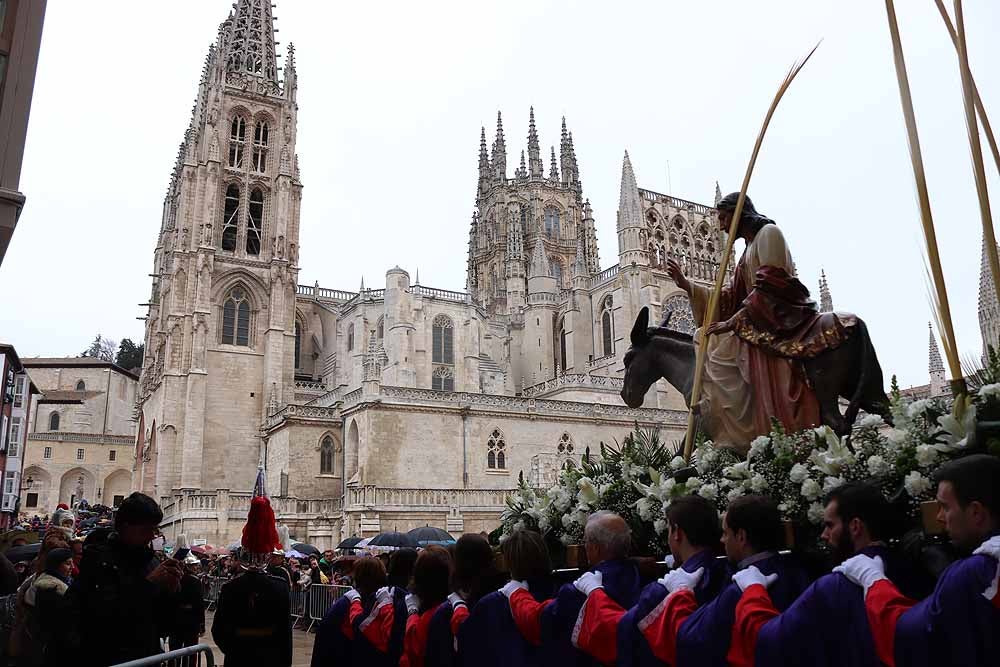 Fotos: Las imágenes de la Procesión de Jesús en La Borriquilla