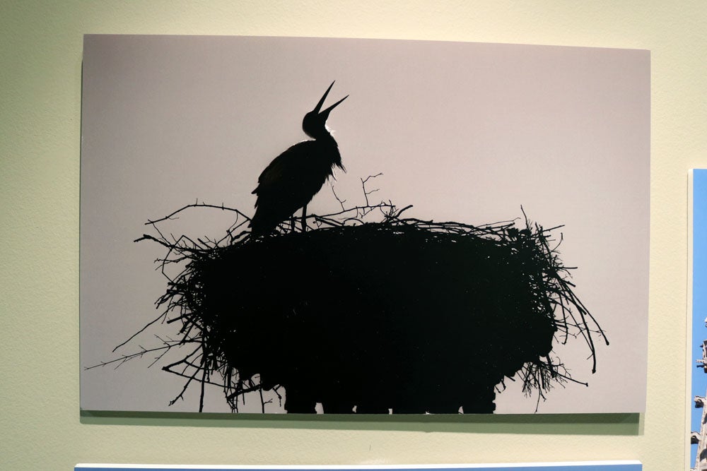 Del 9 al 13 de abril en la Sala de Exposiciones de la Fundación Cajacírculo