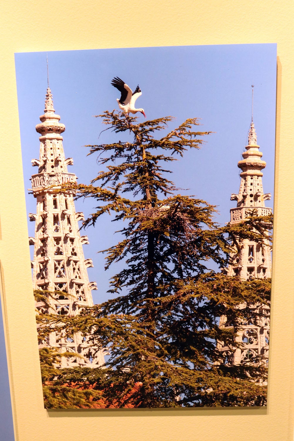 Del 9 al 13 de abril en la Sala de Exposiciones de la Fundación Cajacírculo