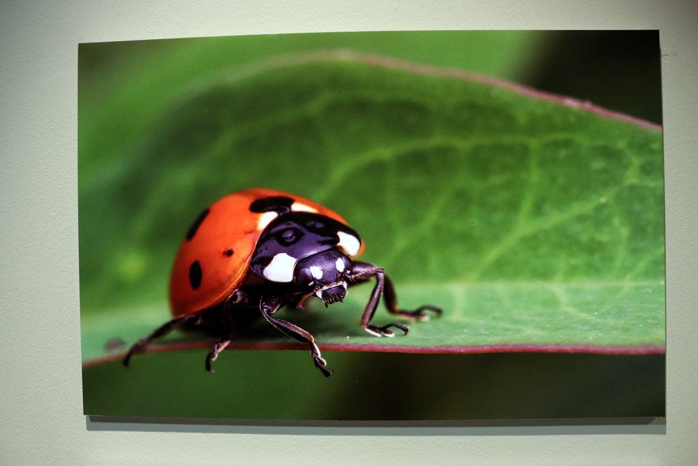 Del 9 al 13 de abril en la Sala de Exposiciones de la Fundación Cajacírculo