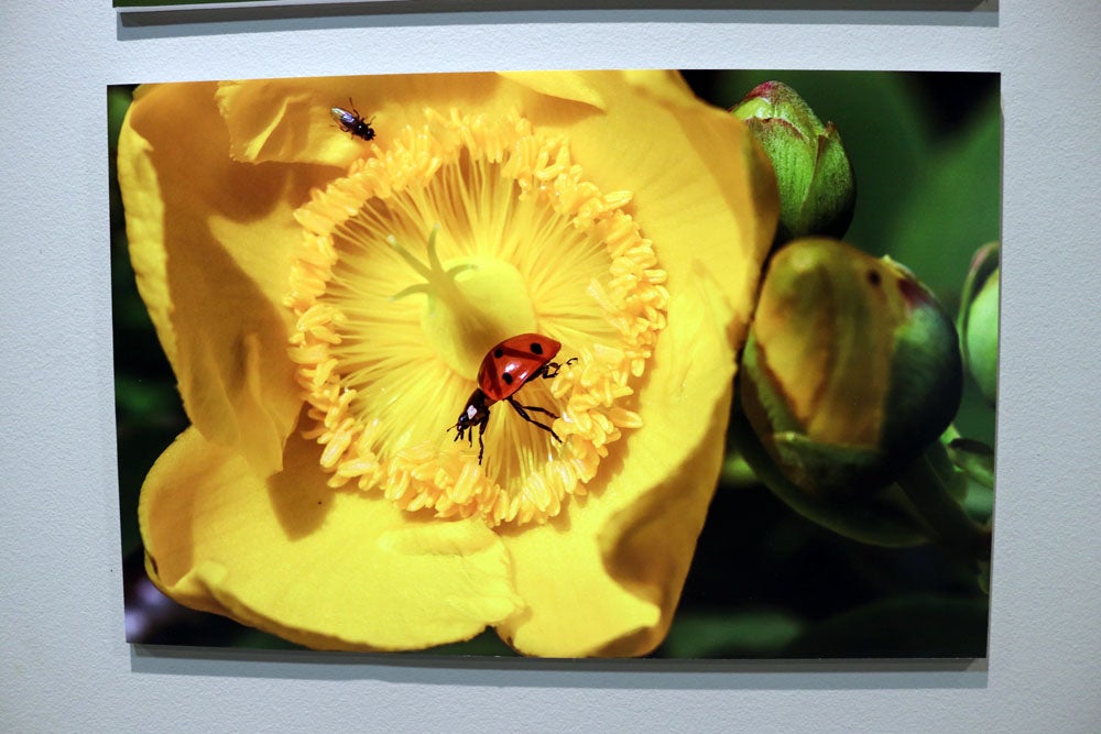 Del 9 al 13 de abril en la Sala de Exposiciones de la Fundación Cajacírculo