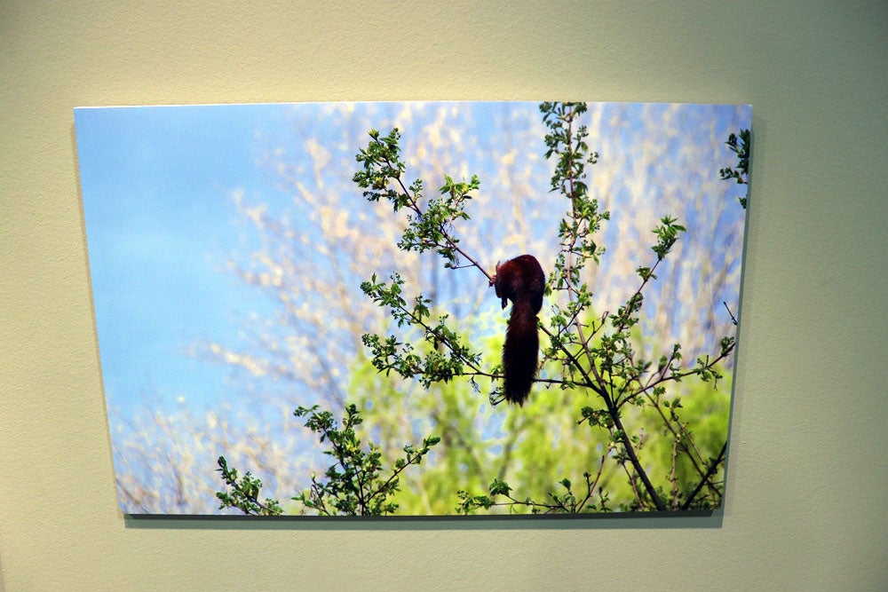 Del 9 al 13 de abril en la Sala de Exposiciones de la Fundación Cajacírculo