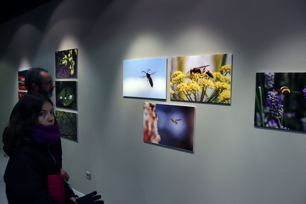 Del 9 al 13 de abril en la Sala de Exposiciones de la Fundación Cajacírculo