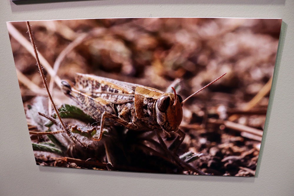 Del 9 al 13 de abril en la Sala de Exposiciones de la Fundación Cajacírculo