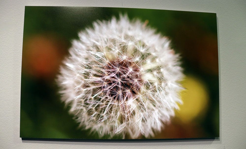 Del 9 al 13 de abril en la Sala de Exposiciones de la Fundación Cajacírculo