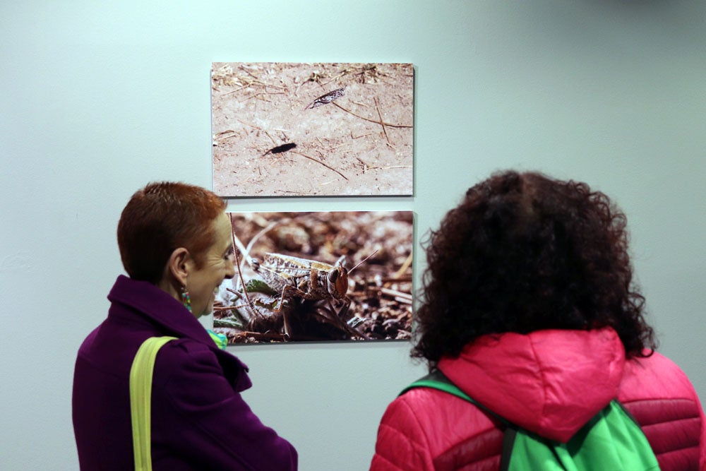 Del 9 al 13 de abril en la Sala de Exposiciones de la Fundación Cajacírculo