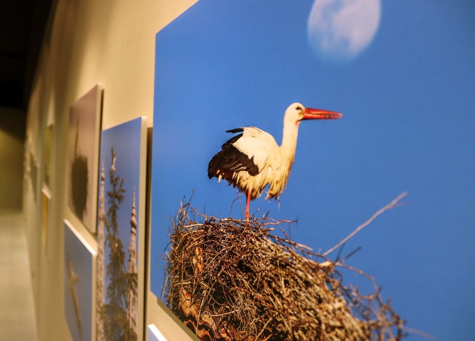 Del 9 al 13 de abril en la Sala de Exposiciones de la Fundación Cajacírculo